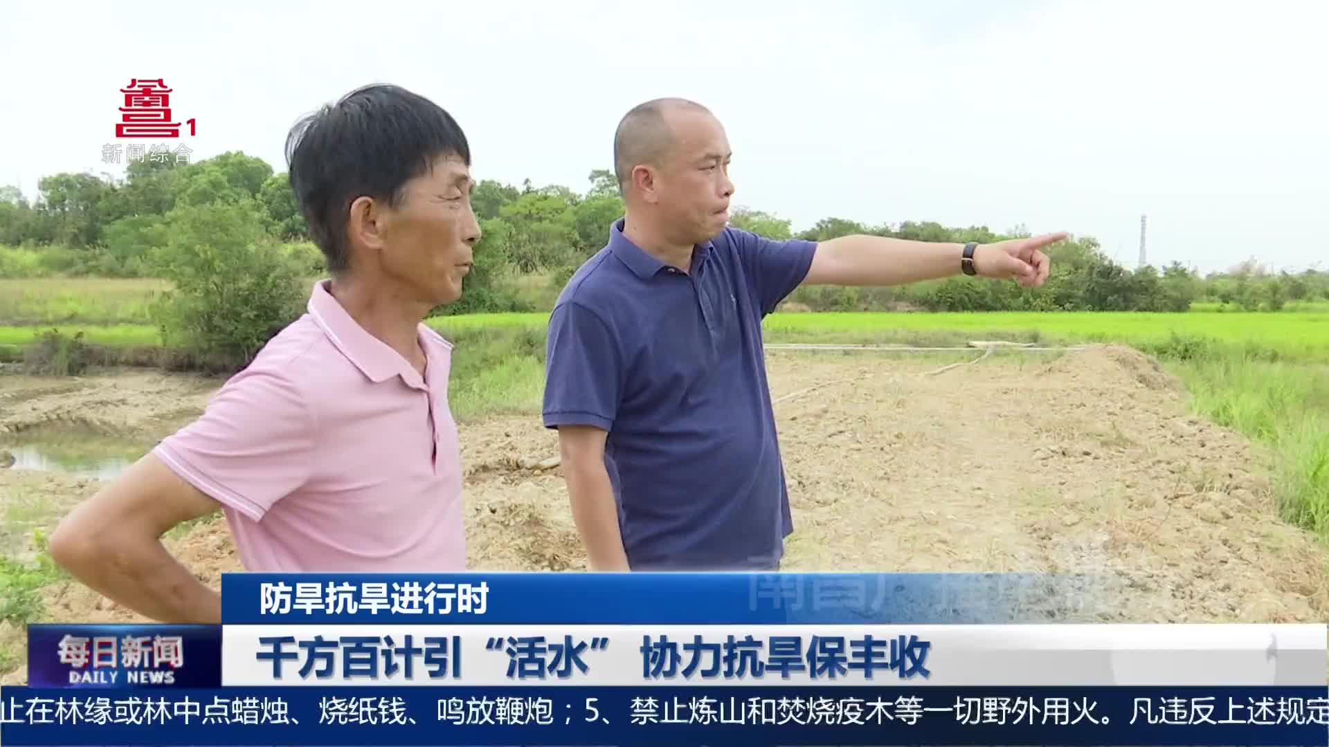 千方百计引“活水” 协力抗旱保丰收