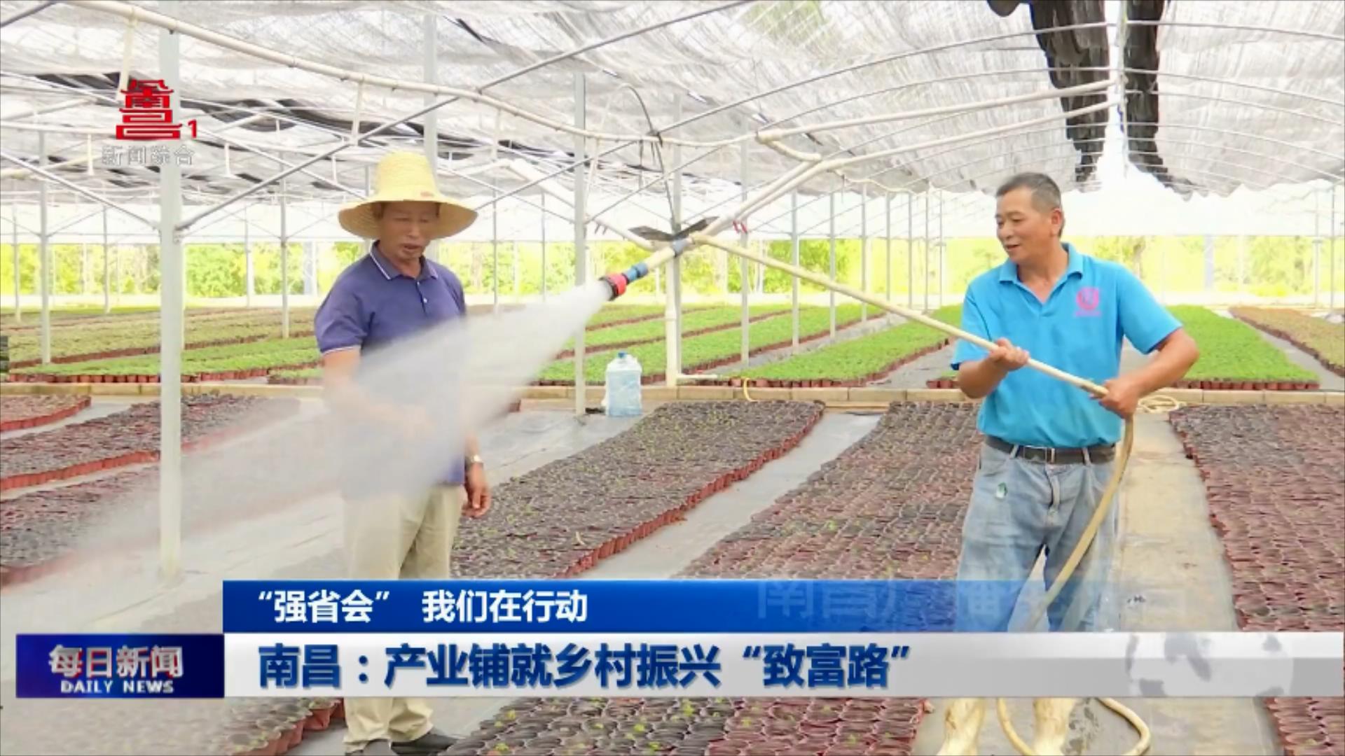 南昌：产业铺就乡村振兴“致富路”