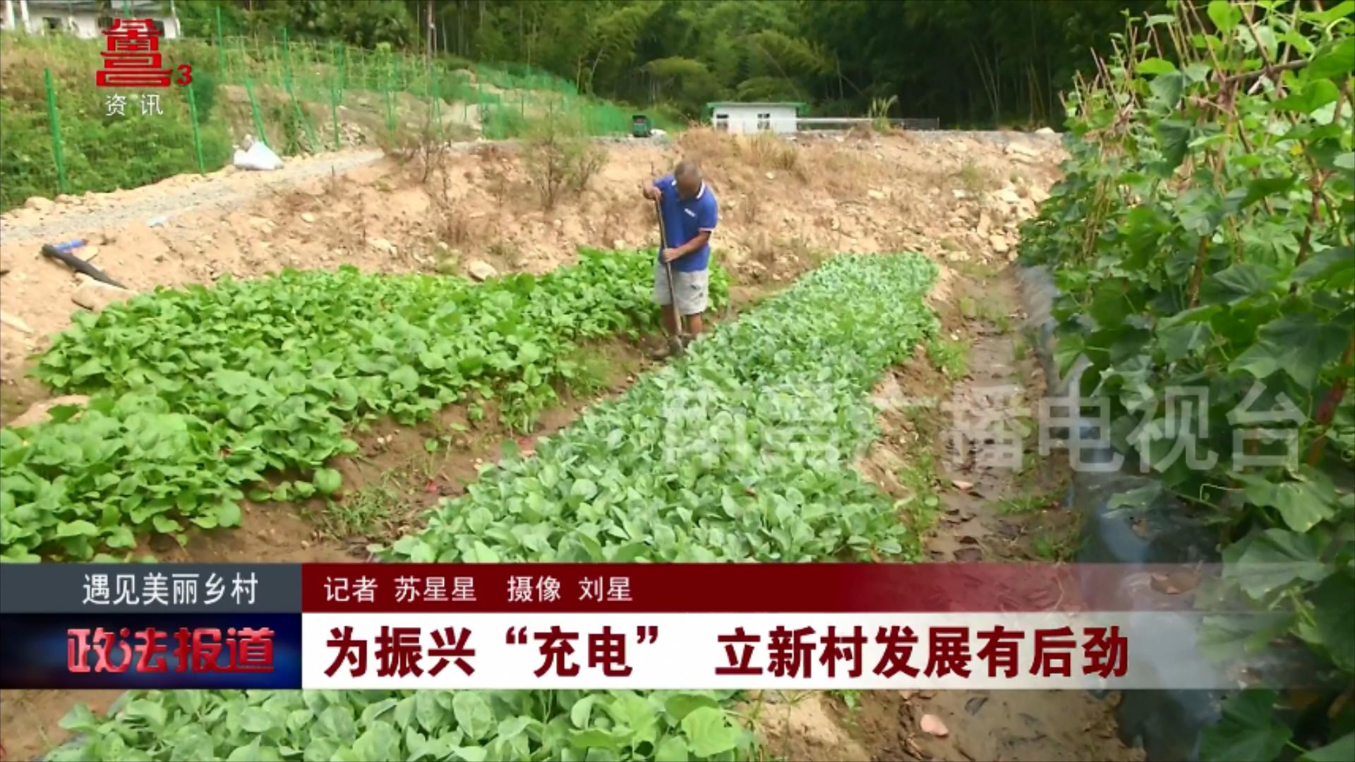 为振兴“充电” 立新村发展有后劲