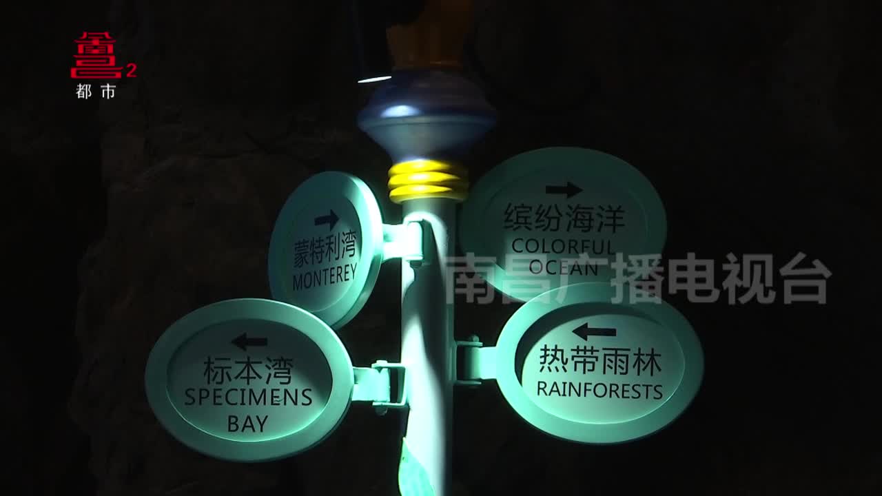 探秘多彩海洋 开启海底之旅