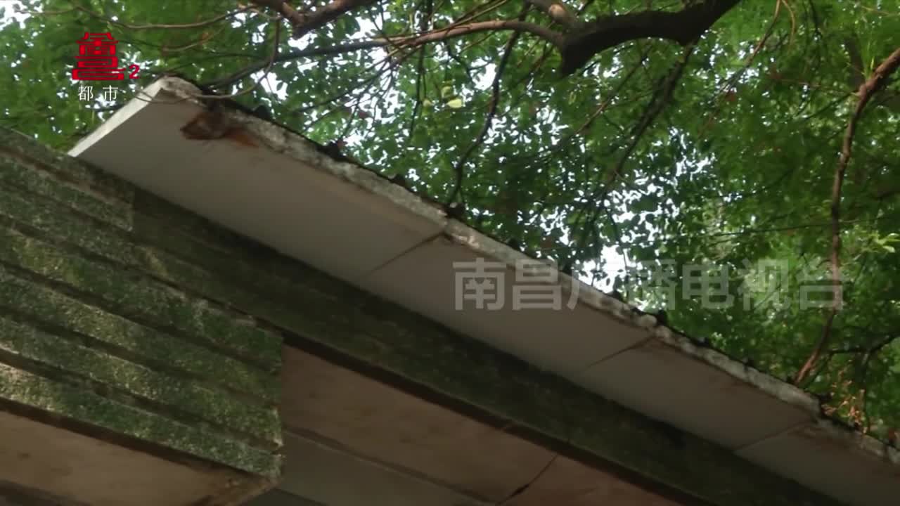 找寻南昌街头巷尾的“老味道”