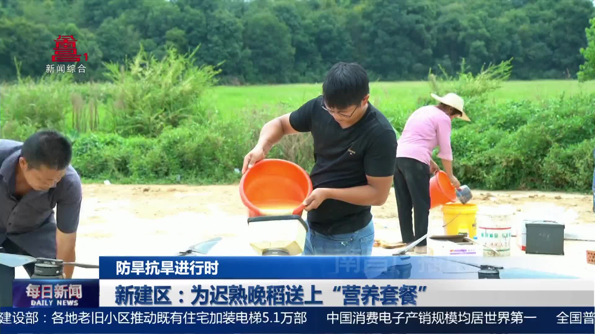 新建区：为迟熟晚稻送上“营养套餐”