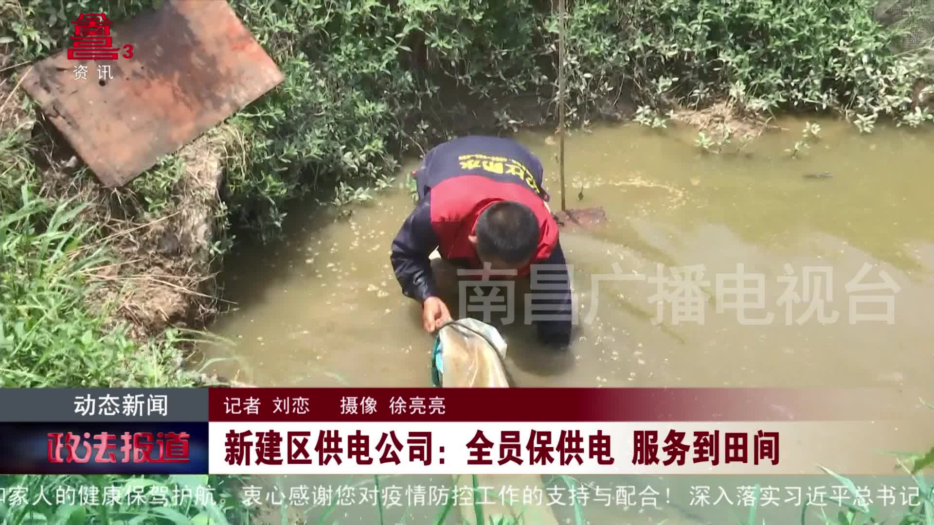 新建区供电公司：全员保供电 服务到田间