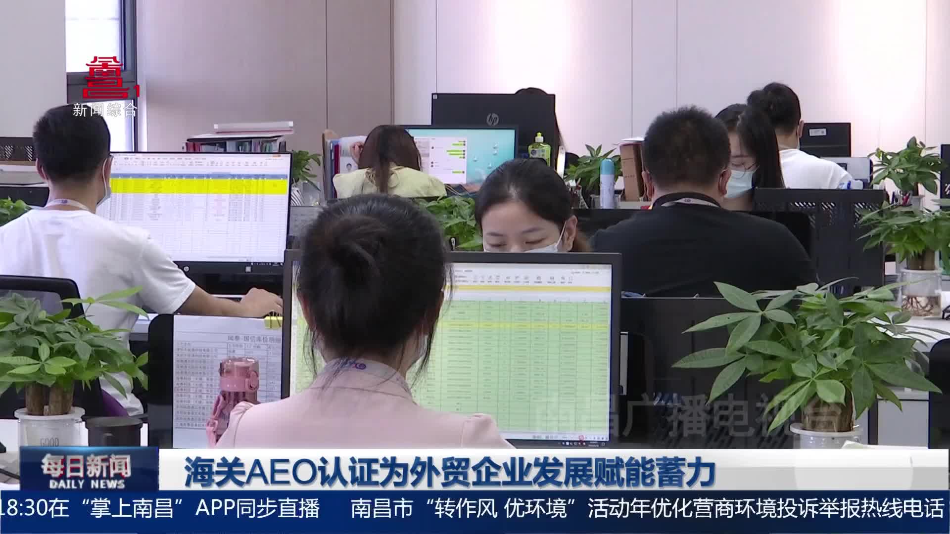 海关AEO认证为外贸企业发展赋能蓄力
