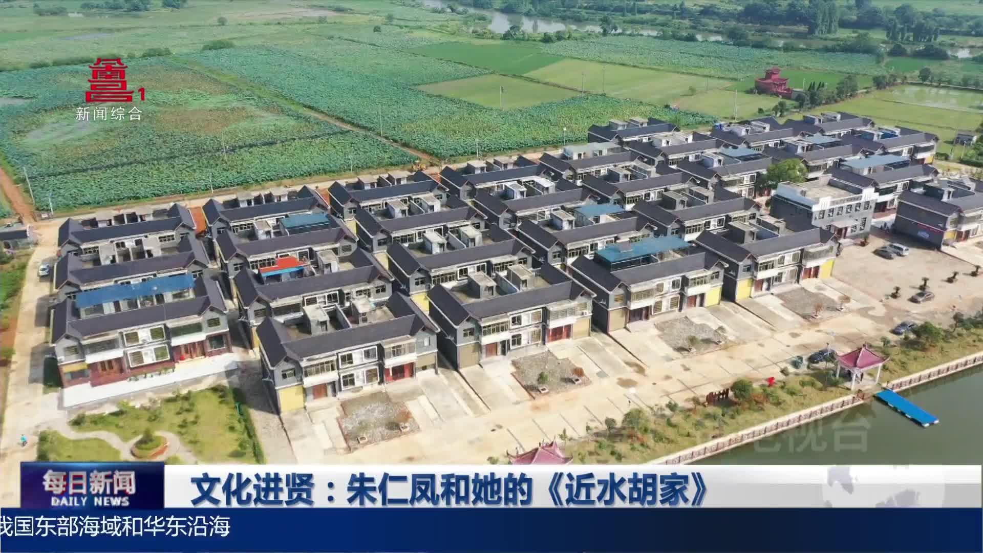 文化进贤：朱仁凤和她的《近水胡家》