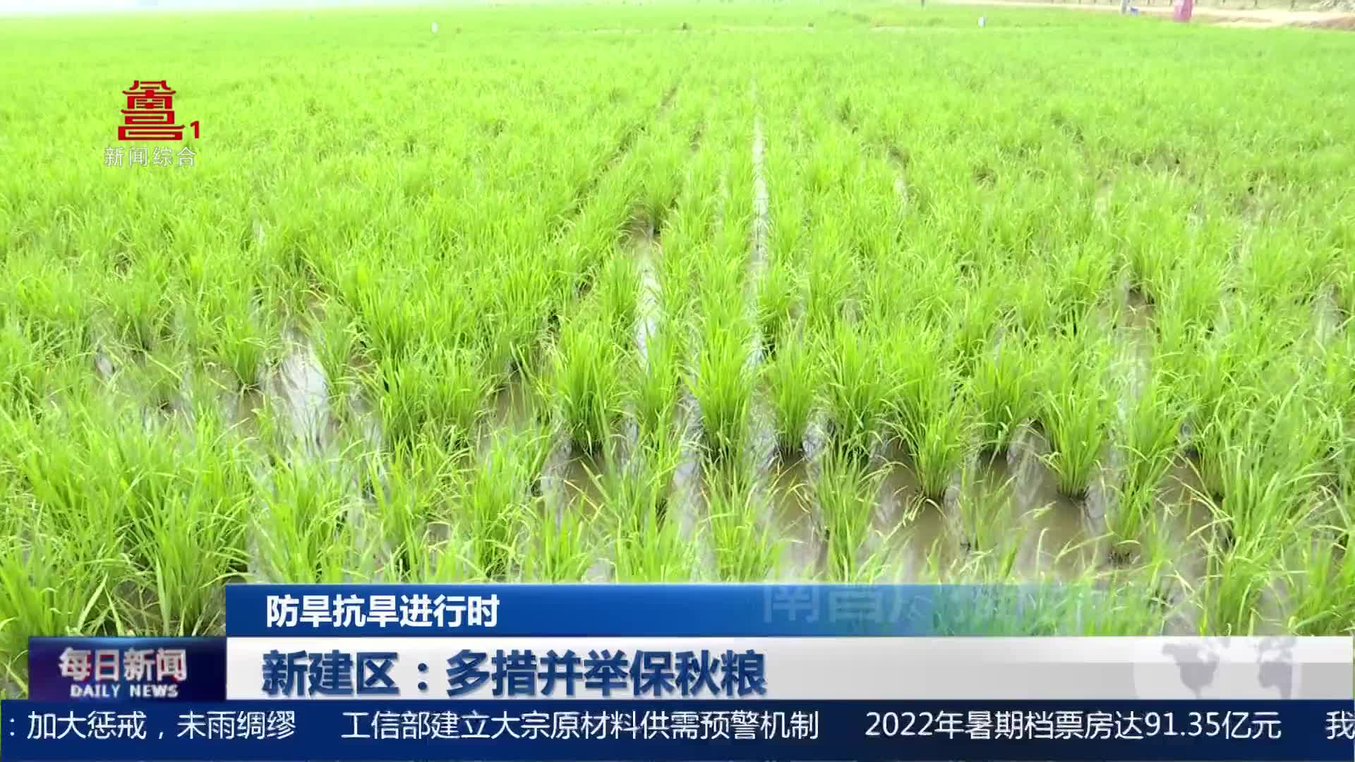 新建区：多措并举保秋粮