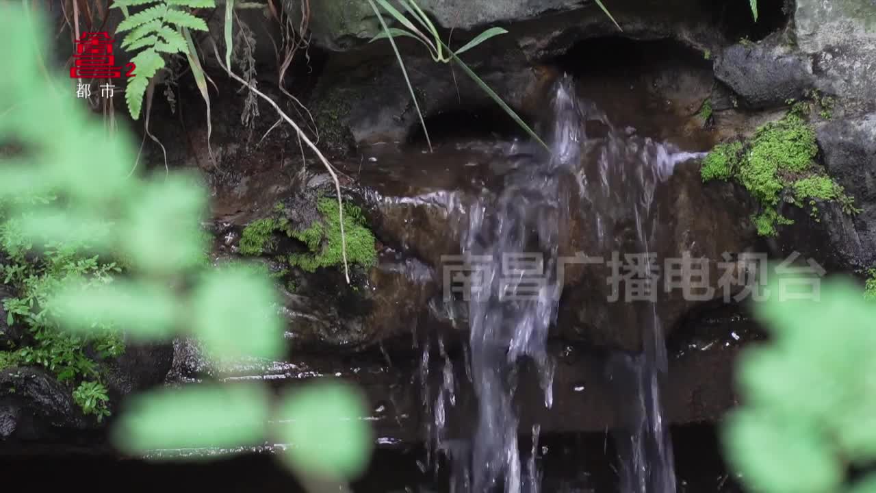 【南昌宝藏】清乾隆御制掐丝珐琅彩香薰炉