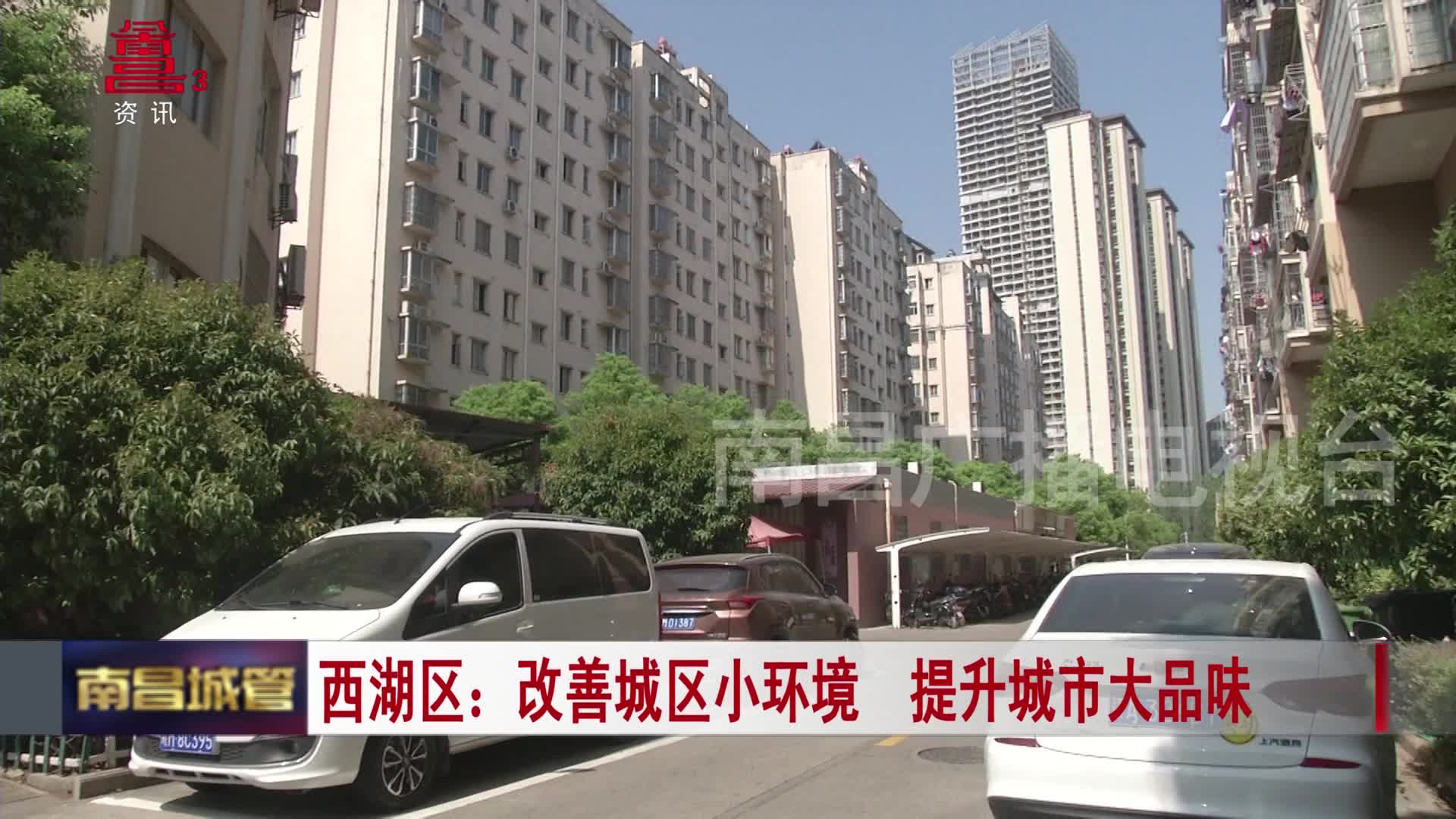 西湖区：改善城区小环境  提升城市大品味