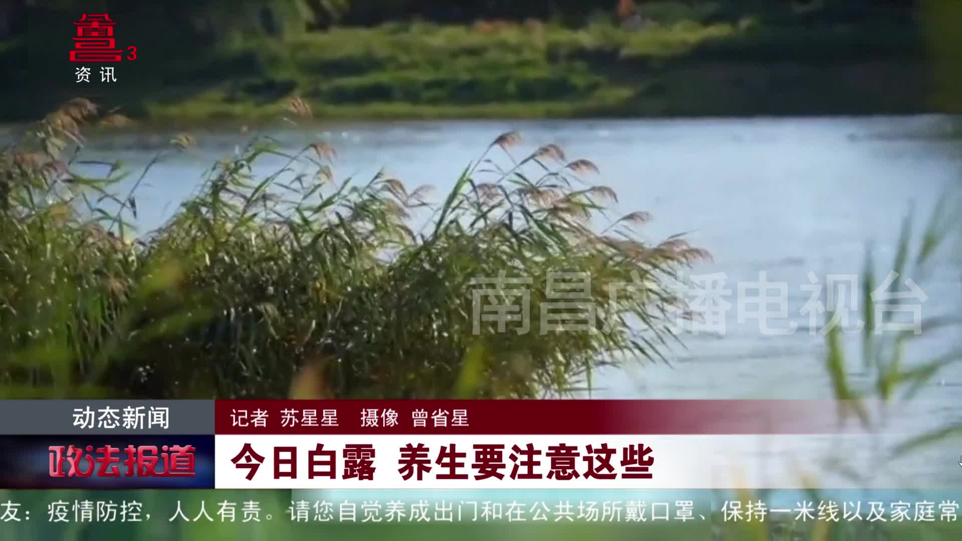 今日白露 养生要注意这些