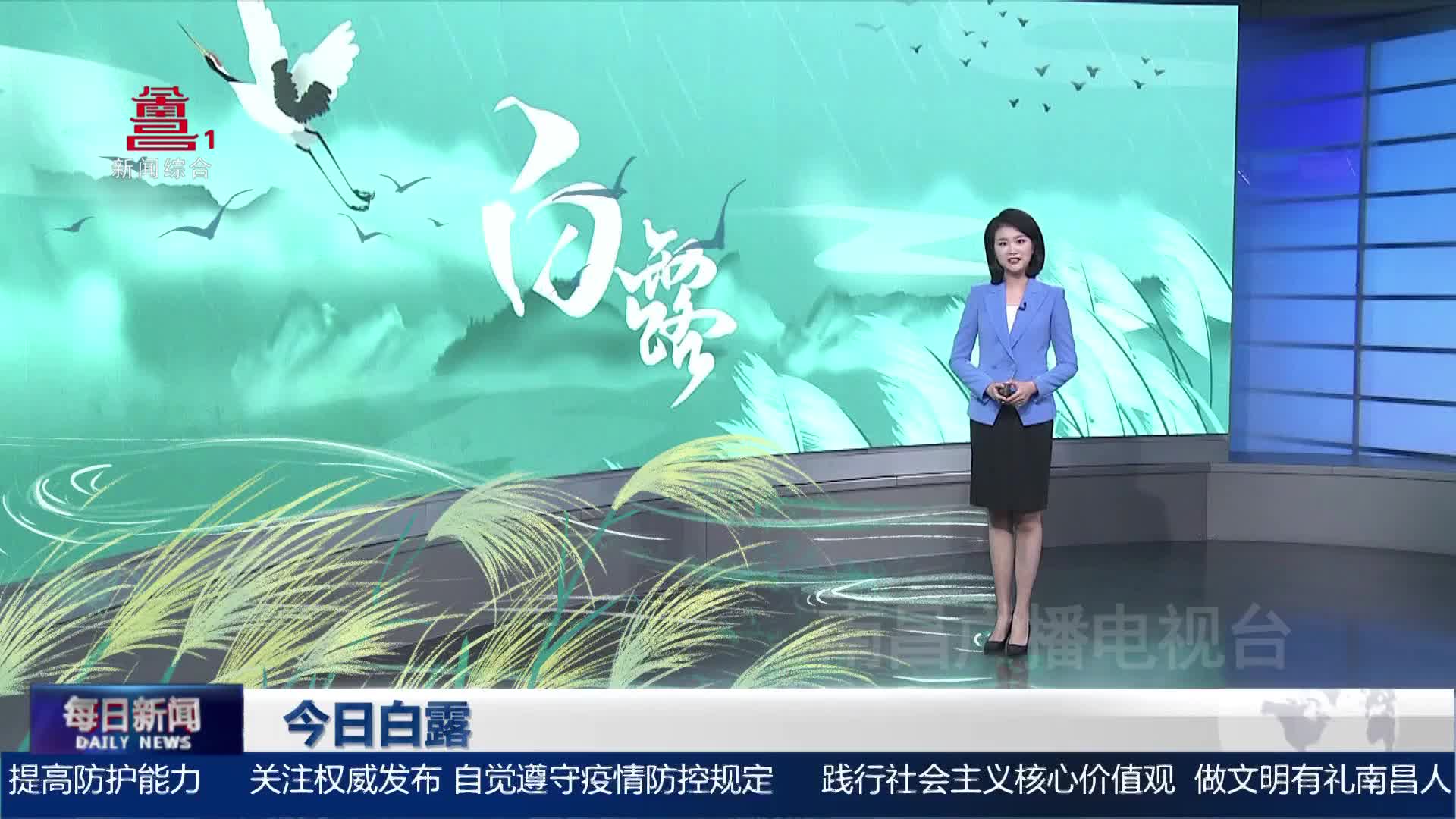 今日白露