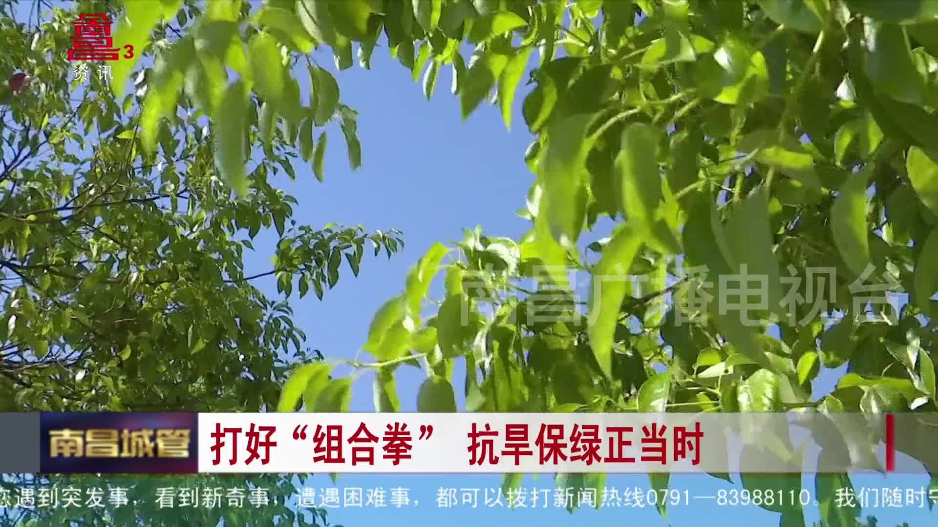 打好“组合拳”  抗旱保绿正当时