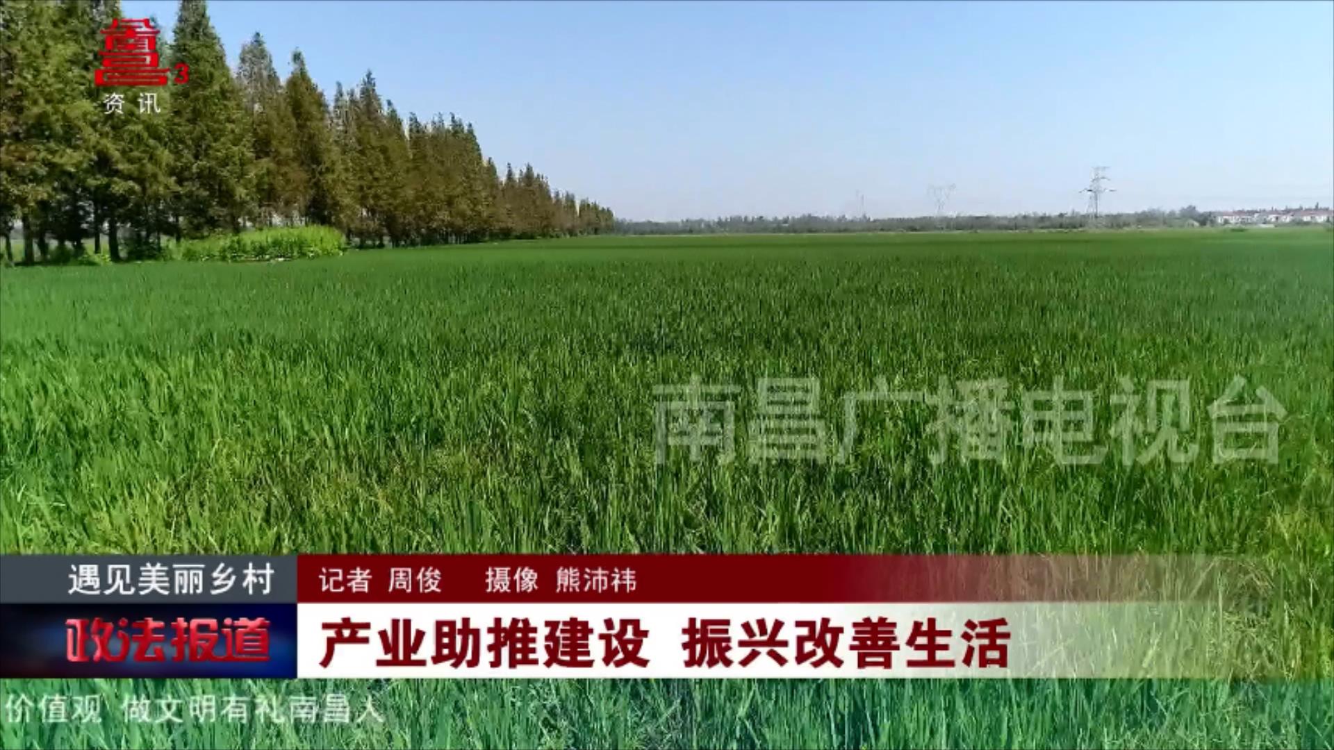 产业助推建设 振兴改善生活