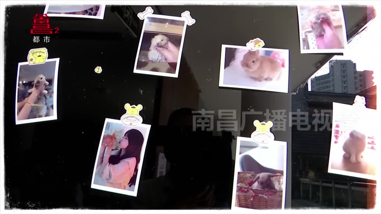 一条老街的变迁 一座城市的嬗变