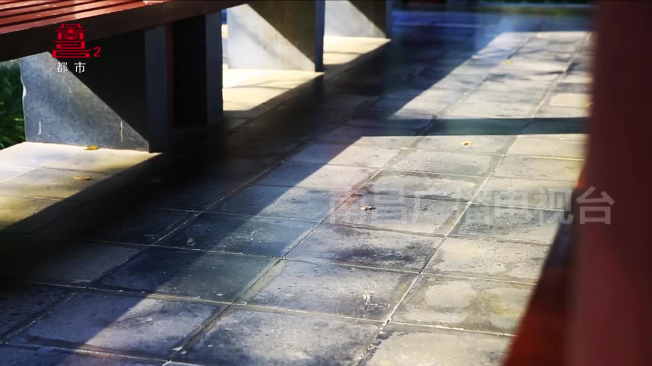 八大山人《仿文嘉山水图轴》