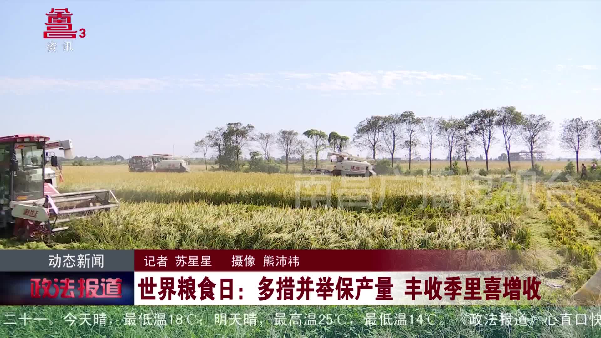 世界粮食日：多措并举保产量 丰收季里喜增收