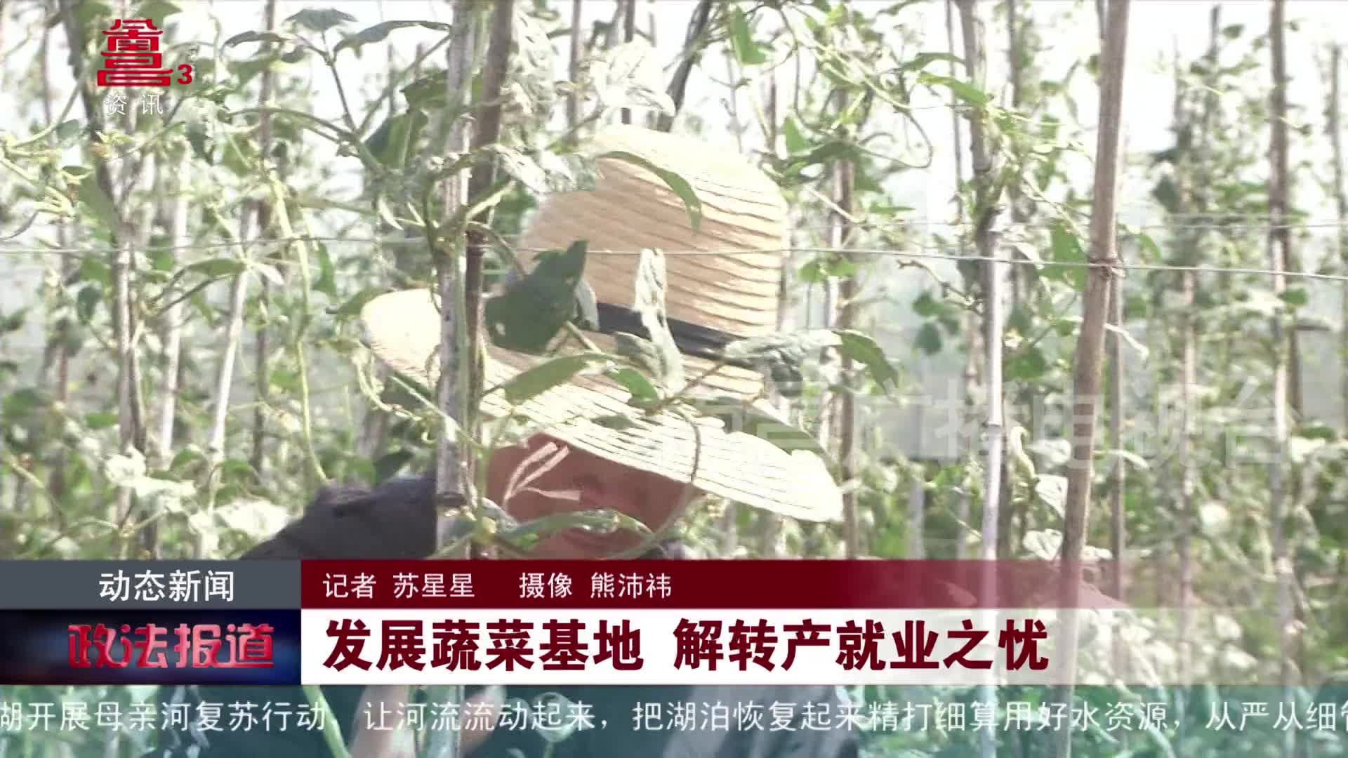 发展蔬菜基地 解转产就业之忧