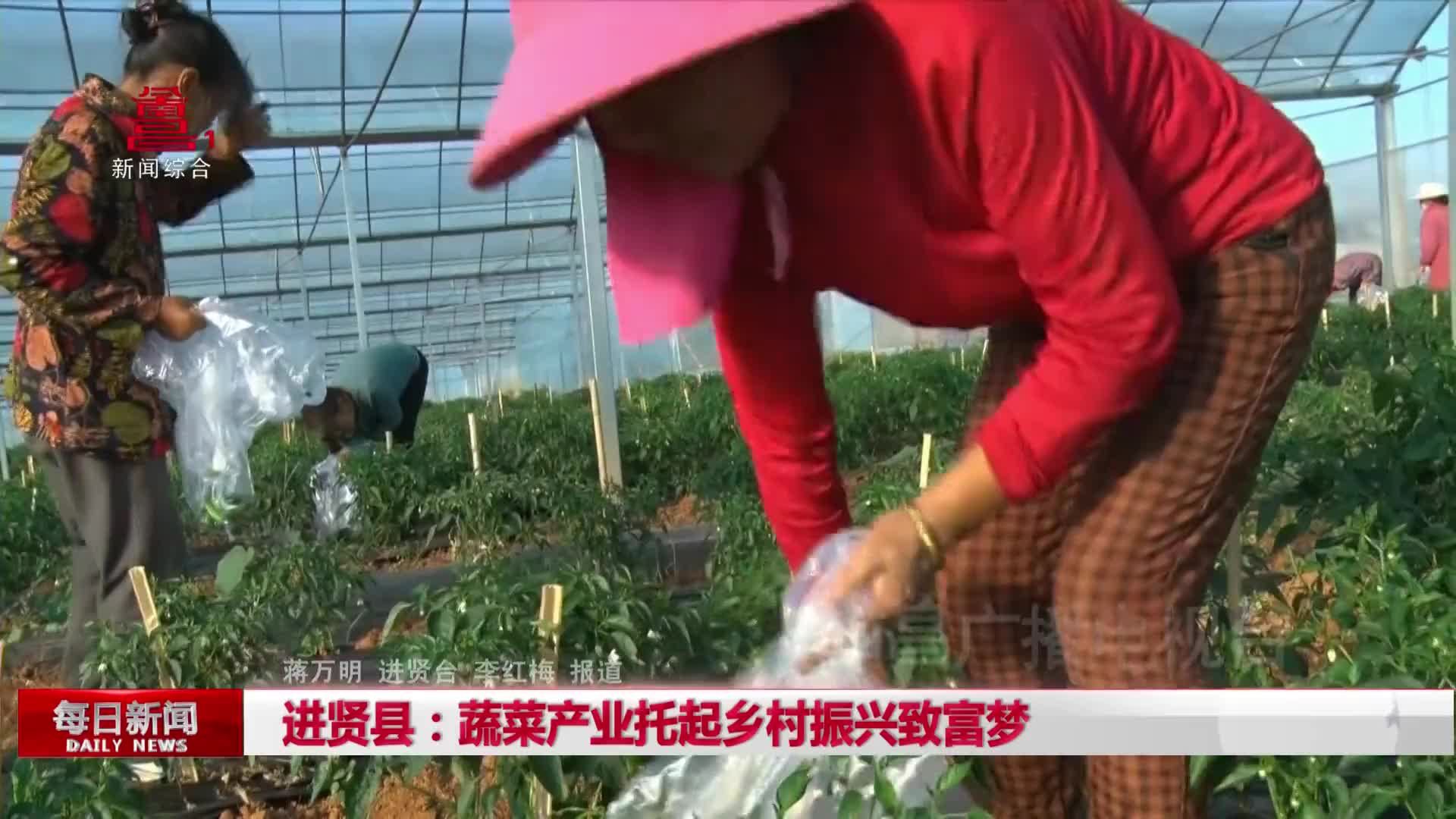 进贤县：蔬菜产业托起乡村振兴致富梦