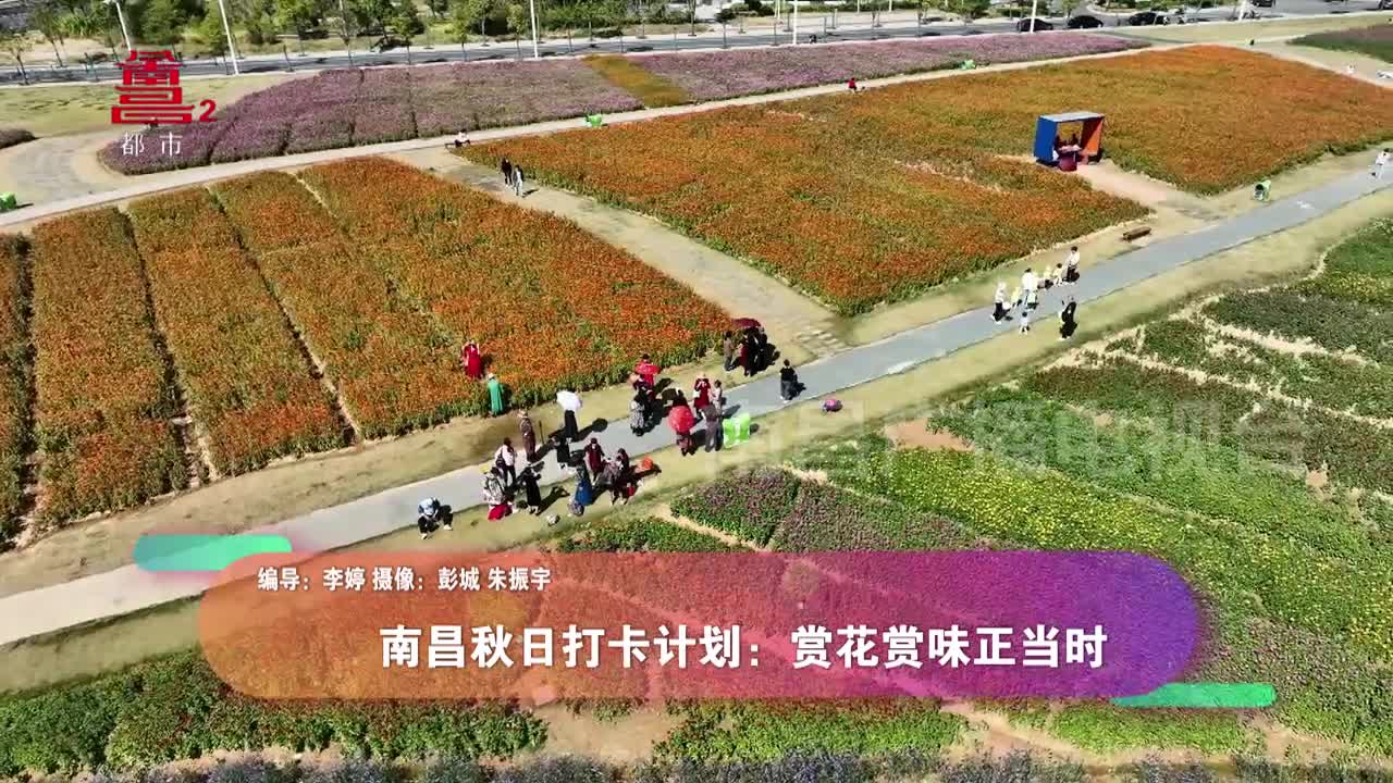 南昌秋日打卡计划：赏花赏味正当时