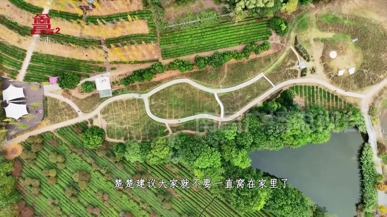 南昌秋日打卡计划：这个秋天 你需要一场多彩之旅