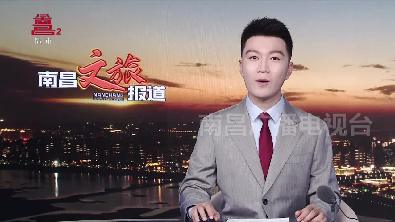 南昌有礼：赣绣豫章绣《墨画大石鸟》