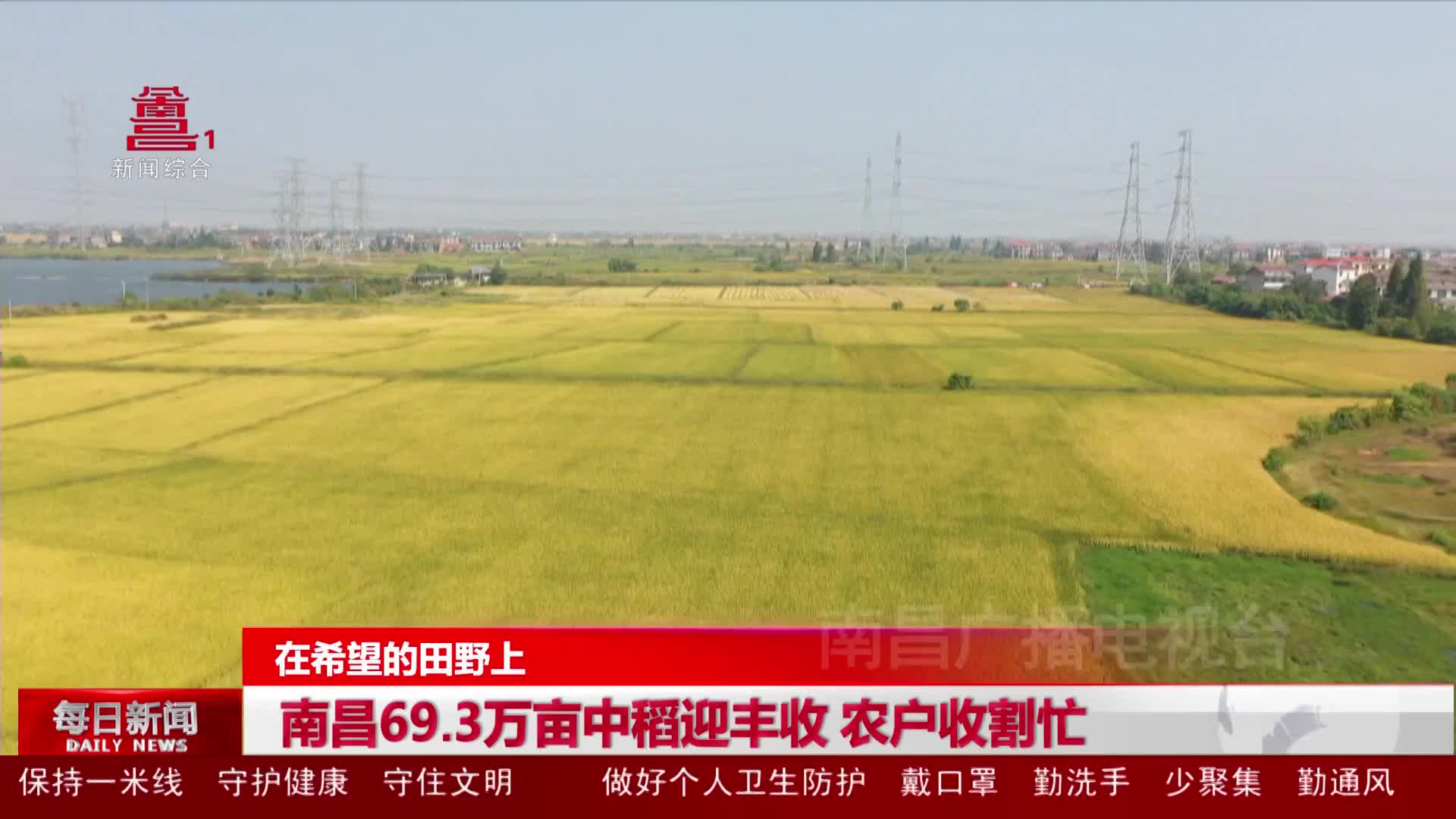 南昌69.3万亩中稻迎丰收 农户收割忙