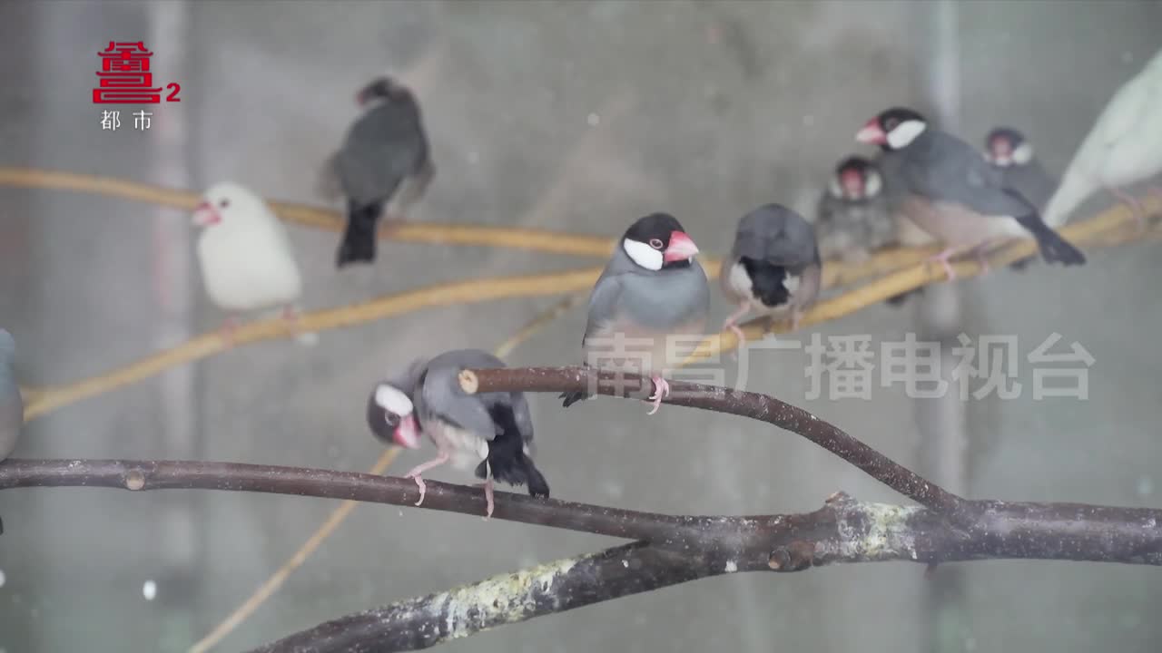 撩萌宠看图书 在这休闲有点萌