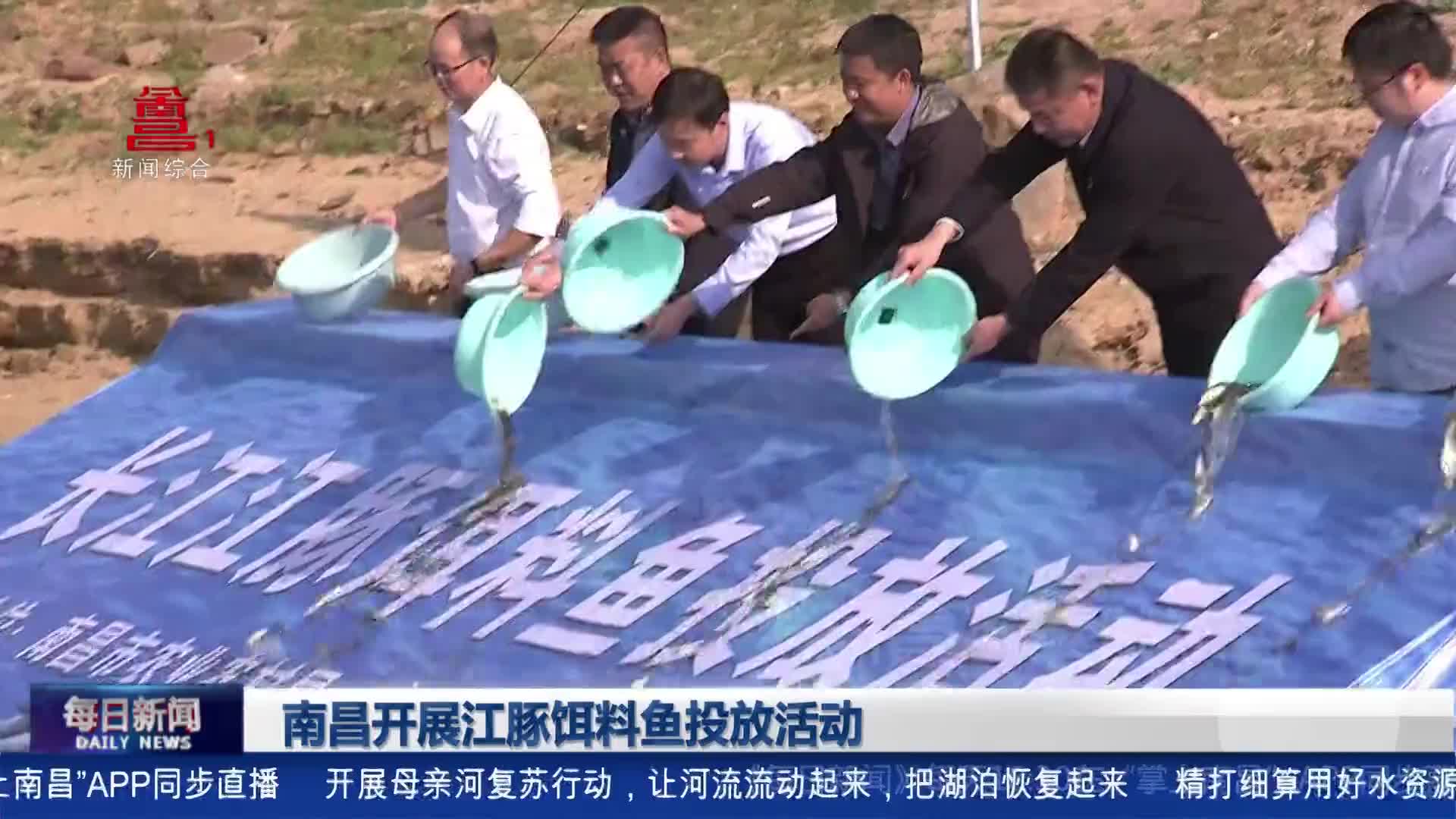 南昌开展江豚饵料鱼投放活动