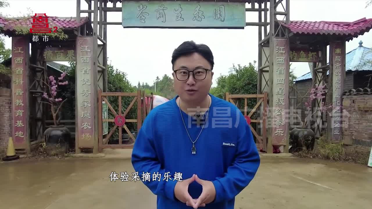 采摘 初冬稍纵即逝的快乐