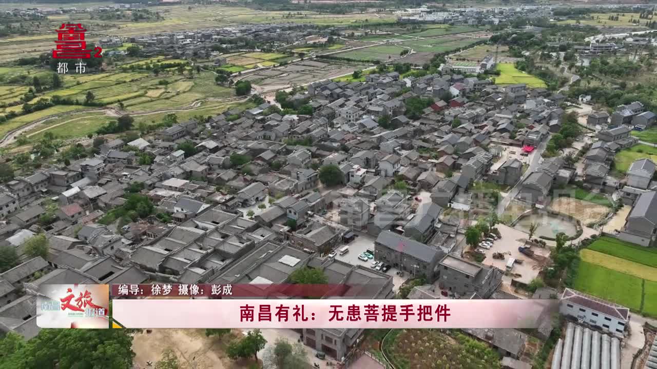 南昌有礼：无患菩提手把件