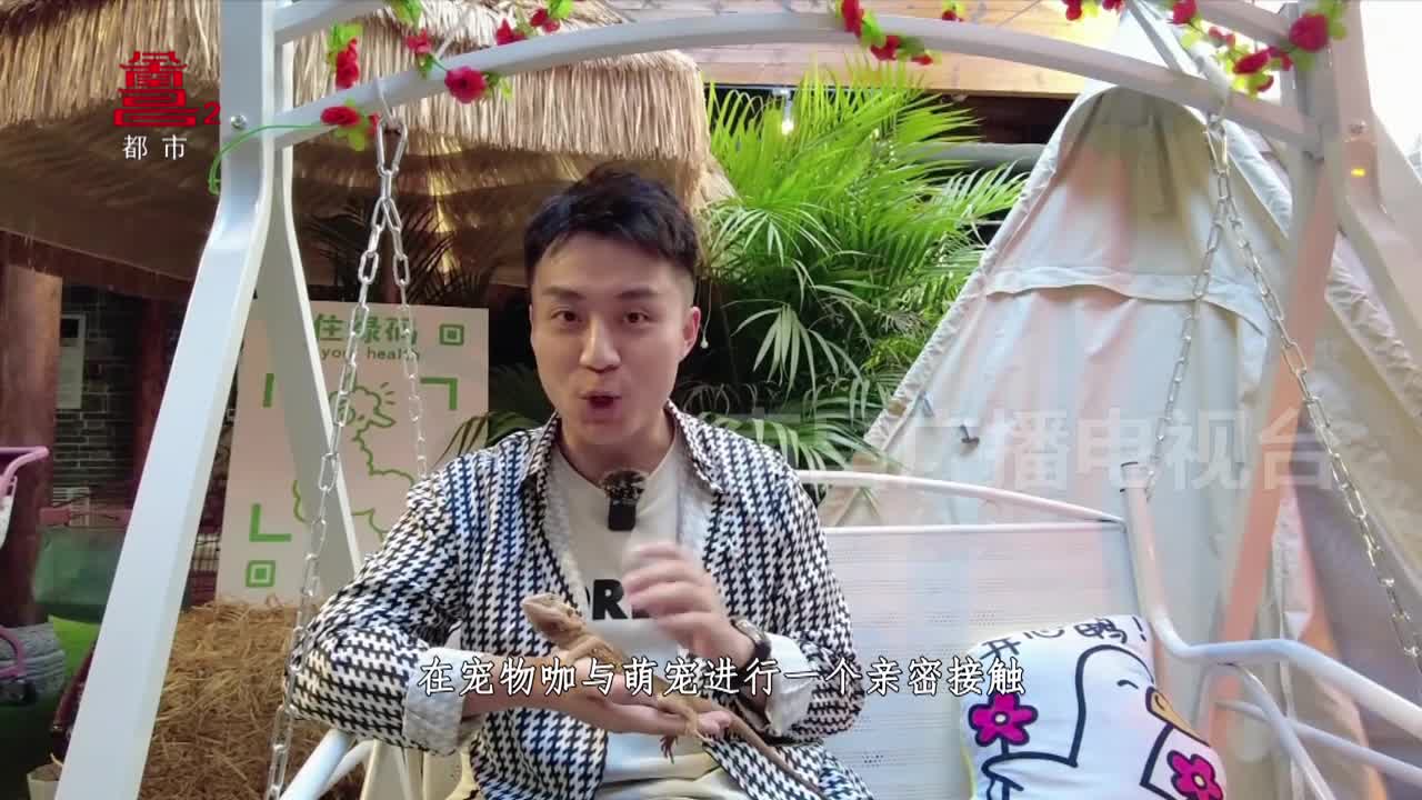 甜蜜撸宠 打卡休闲娱乐新方式