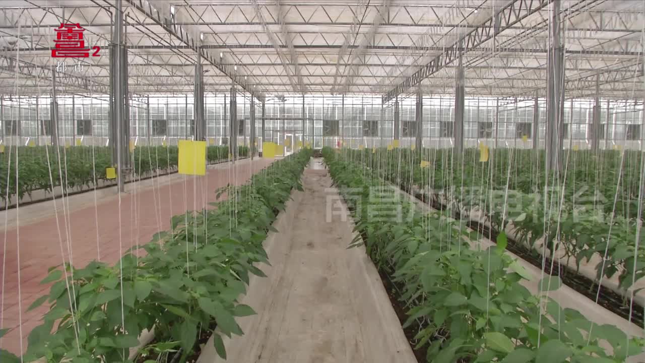 南昌新增一4A级乡村旅游点