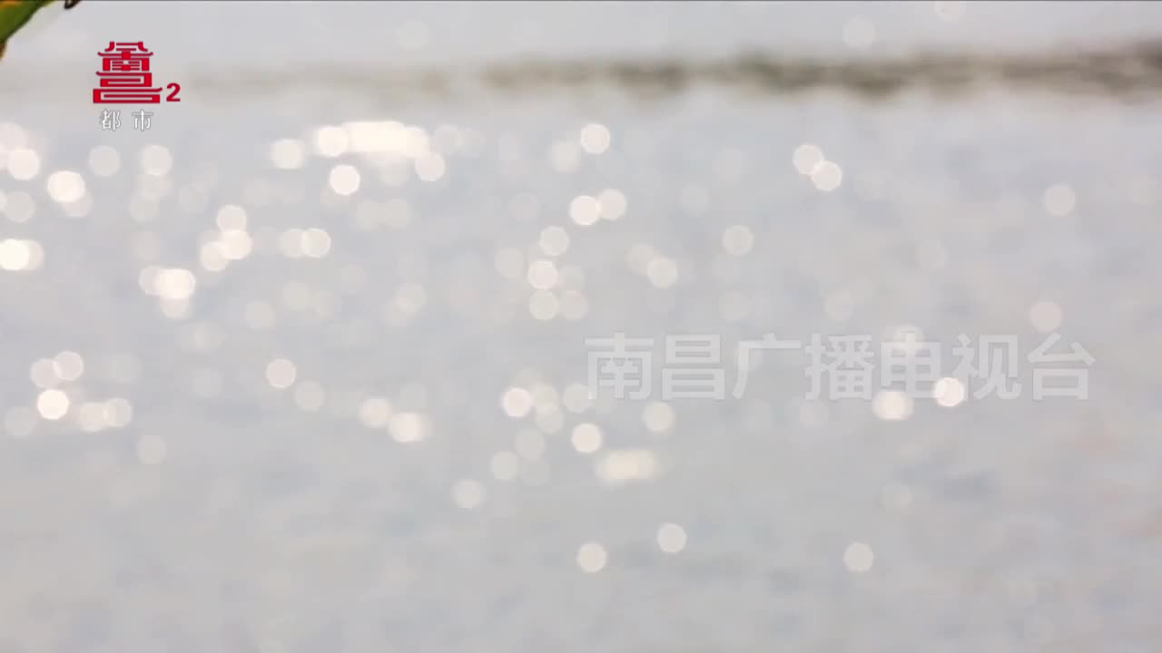 南昌宝藏：八大山人《松鹿图轴》