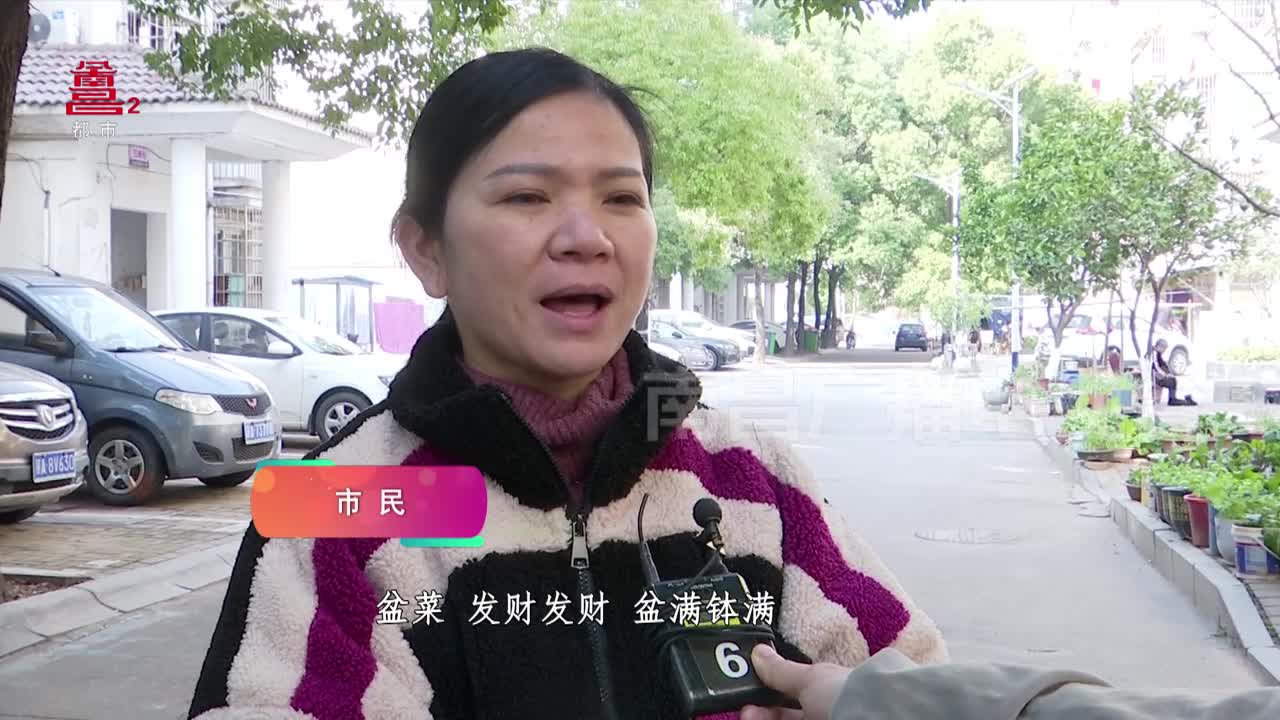 舌尖上的粤菜 年味道 好意头