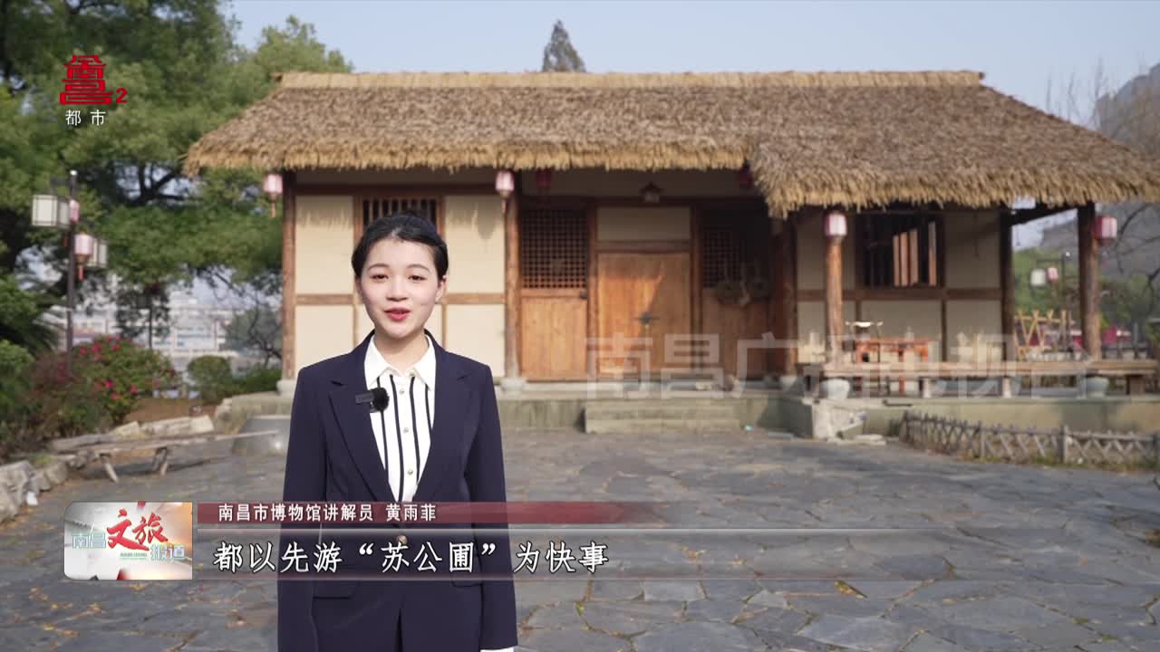 南昌宝藏：清景德镇窑粉彩海棠形盘