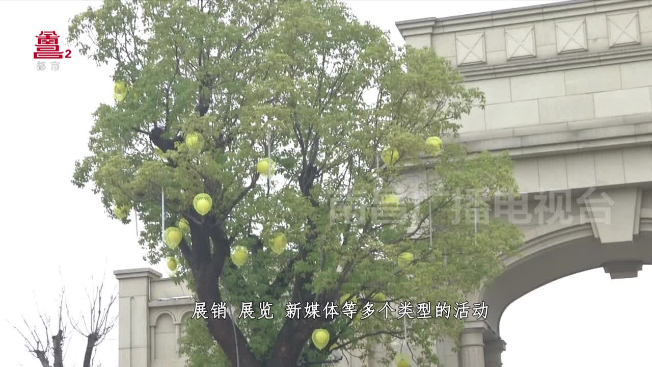 南昌县：花花世界很精彩