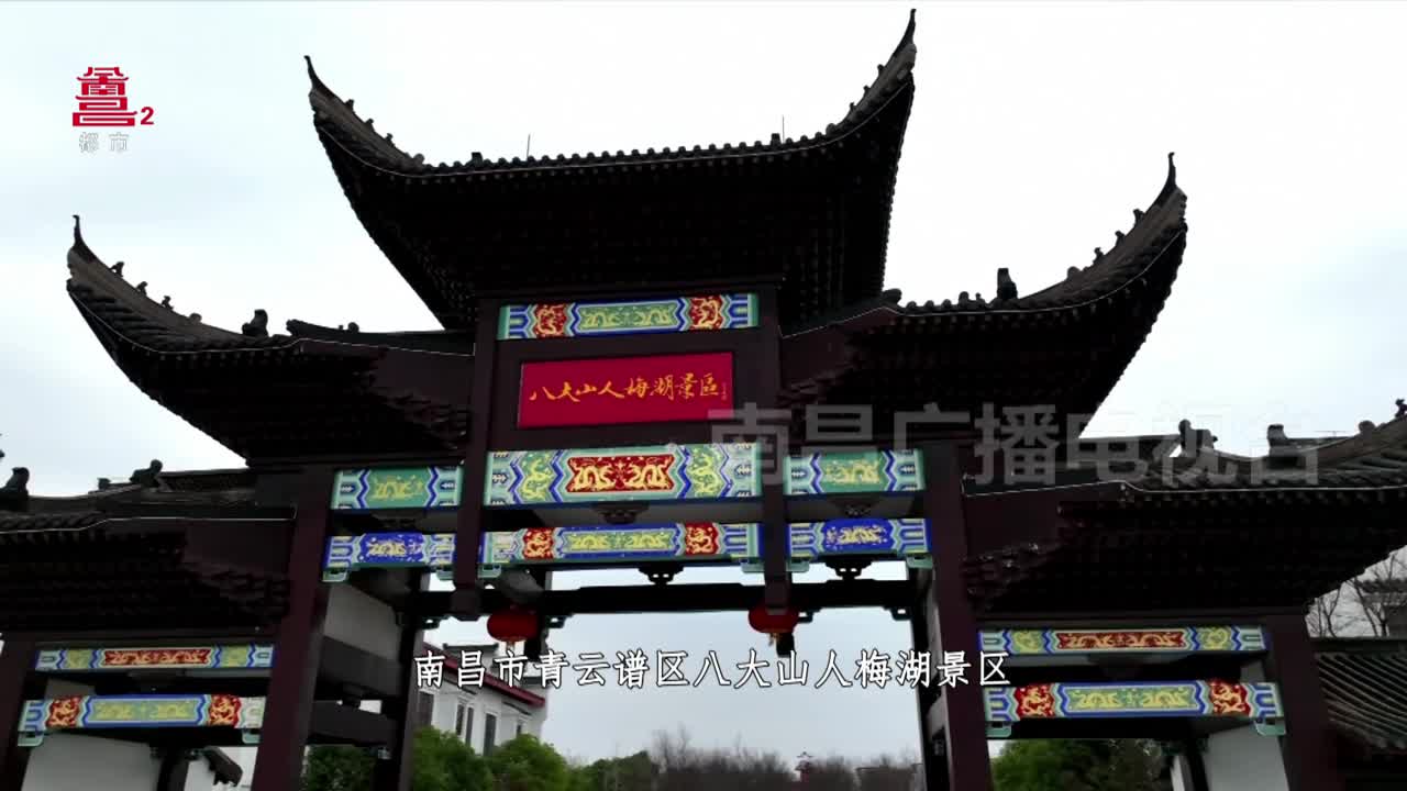 青云谱区：携青云之美  谱新春华章