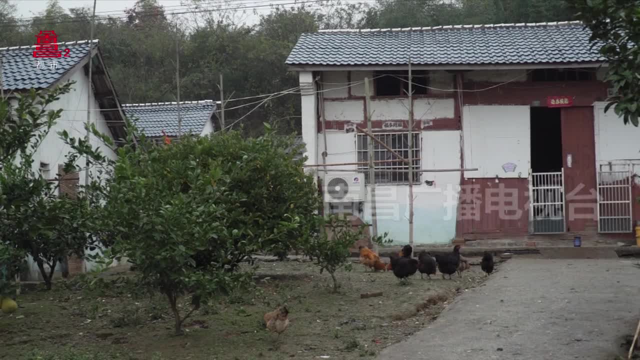 新年团圆菜：松湖米粉肉