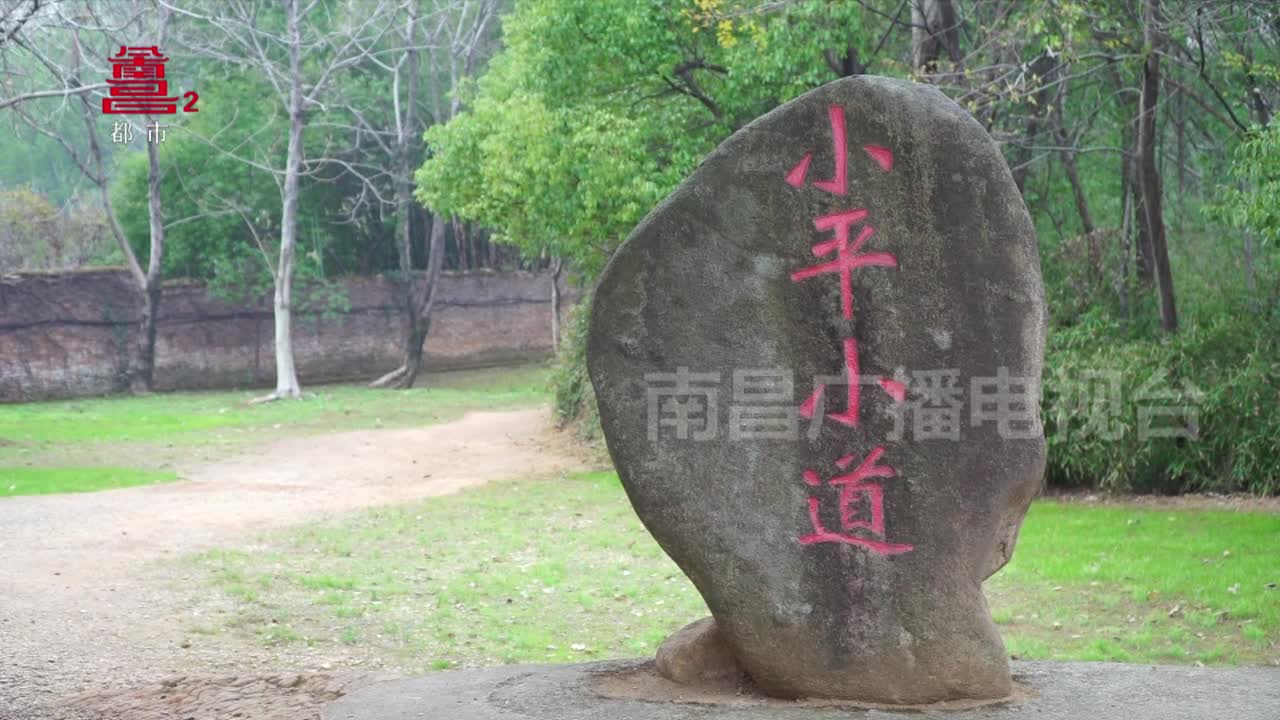 一条小道走出春天的故事