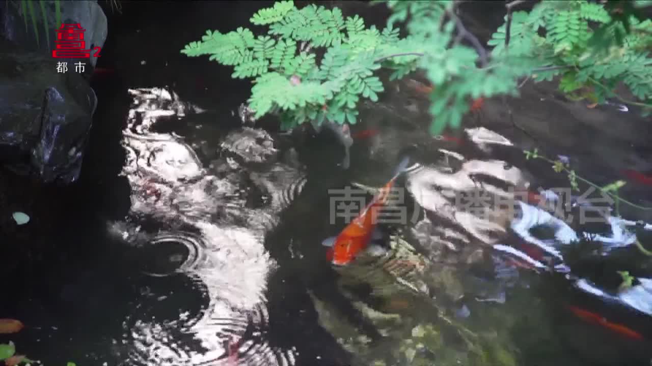南昌宝藏：清朝火烧玉花插水丞