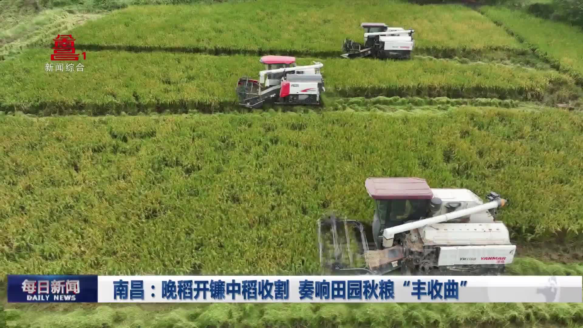 南昌：晚稻开镰中稻收割  奏响田园秋粮“丰收曲”