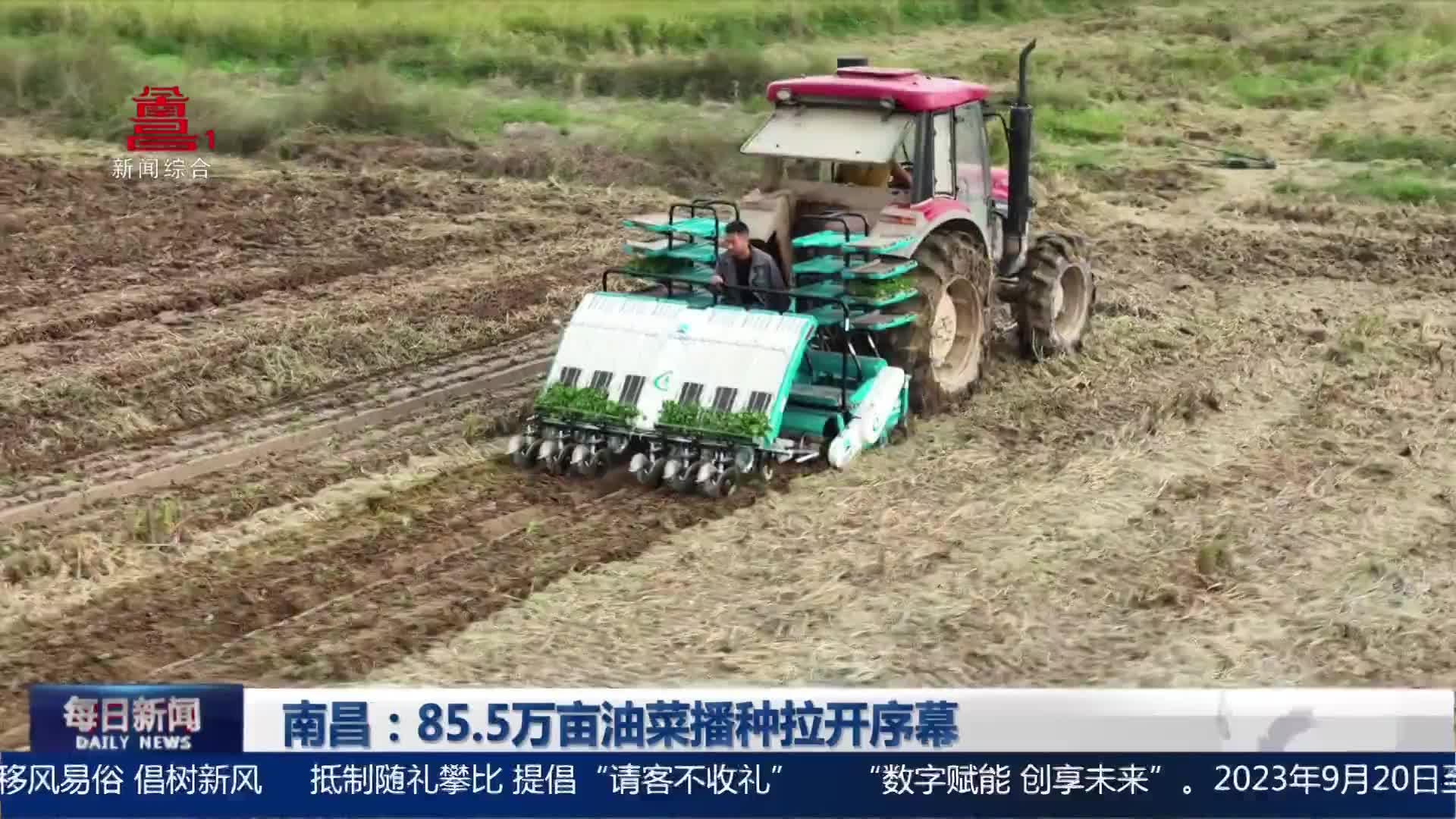 南昌：85.5万亩油菜播种拉开序幕