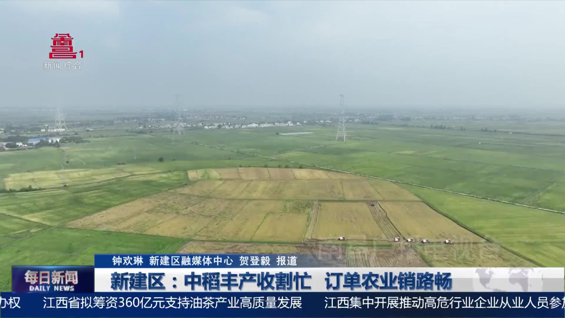 新建区：中稻丰产收割忙  订单农业销路畅