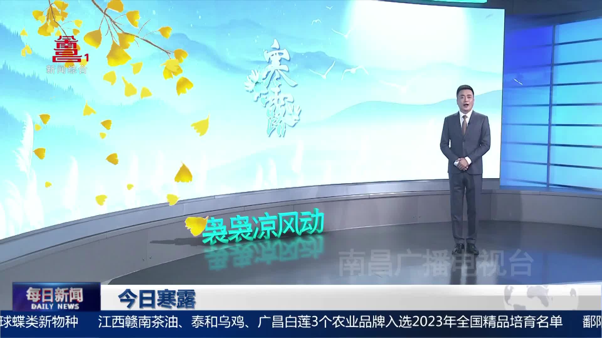 今日寒露