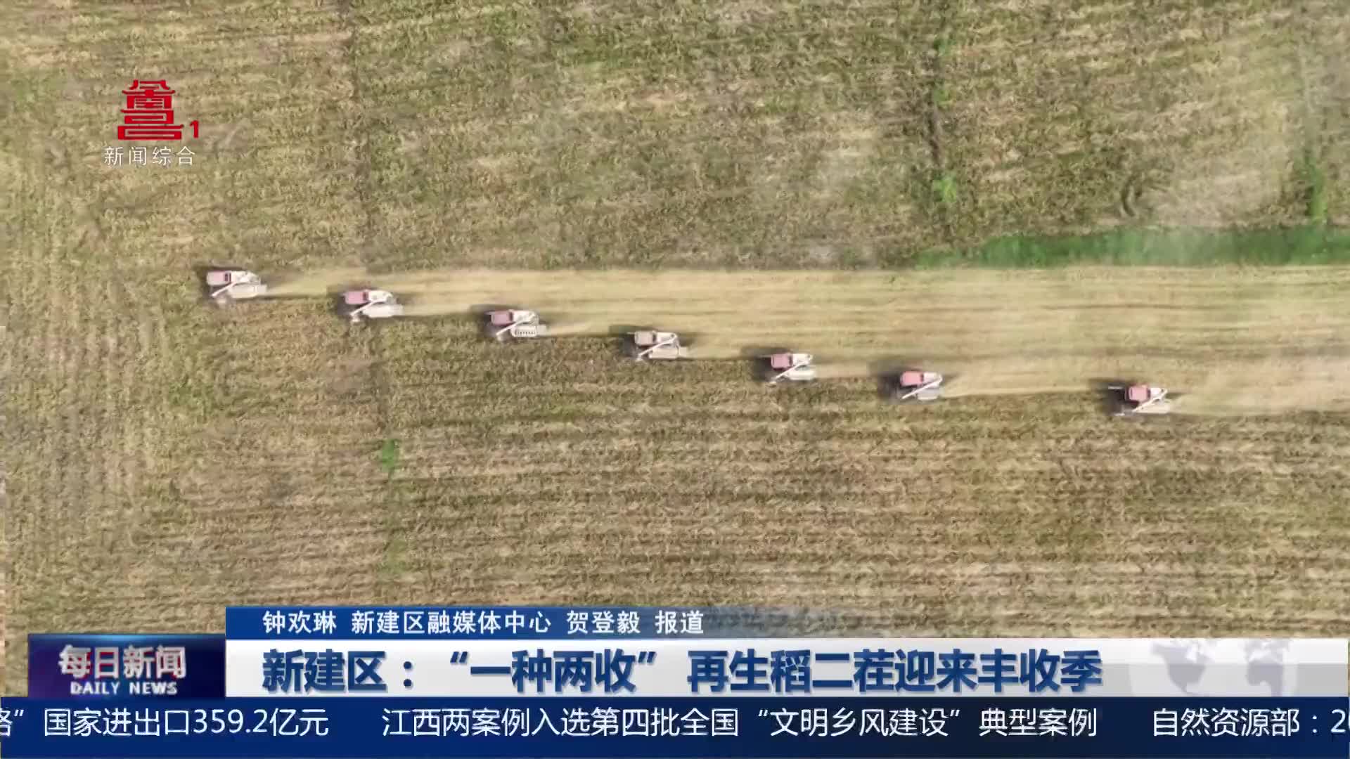 新建区：“一种两收” 再生稻二茬迎来丰收季