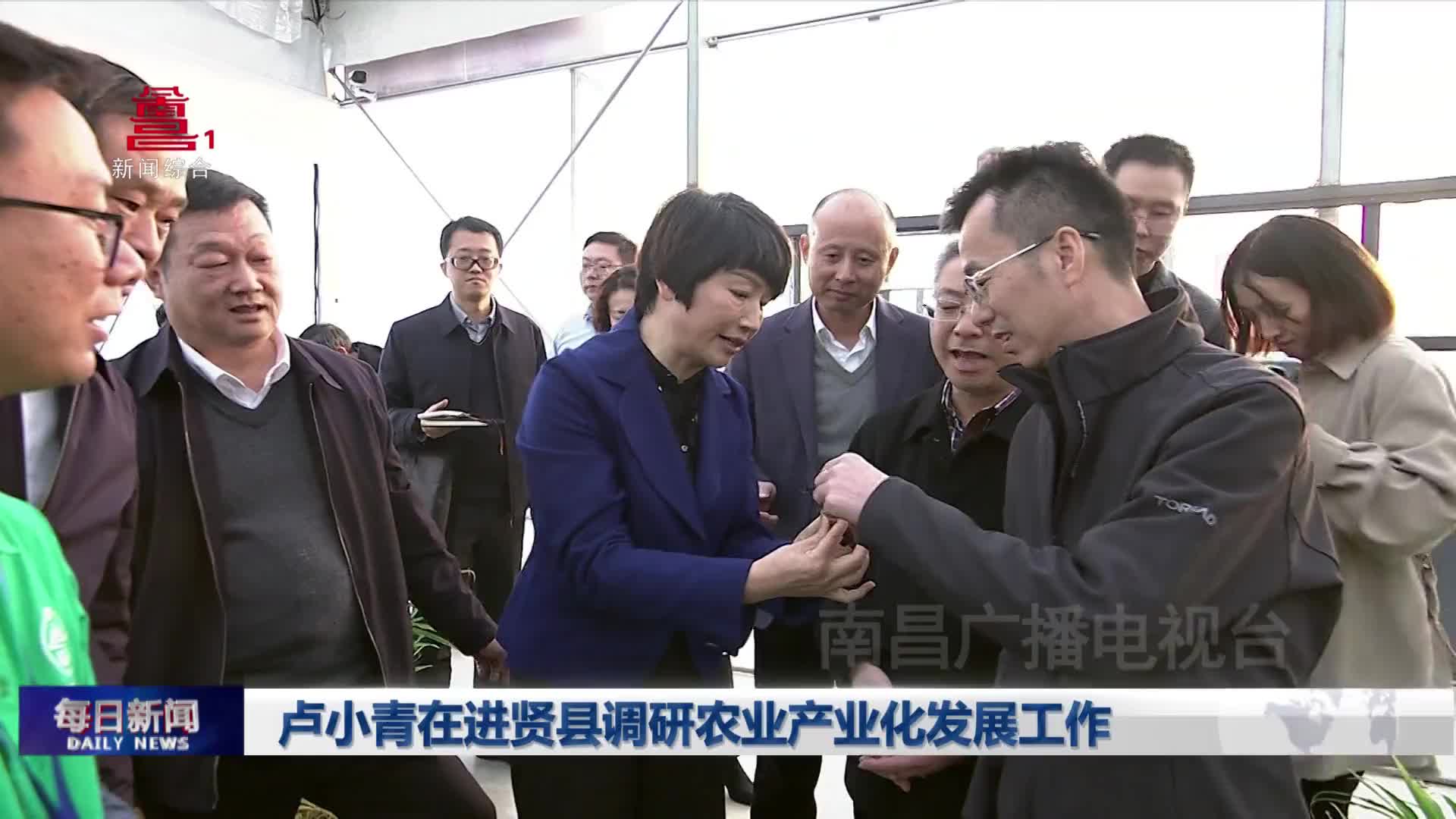 卢小青在进贤县调研农业产业化发展工作