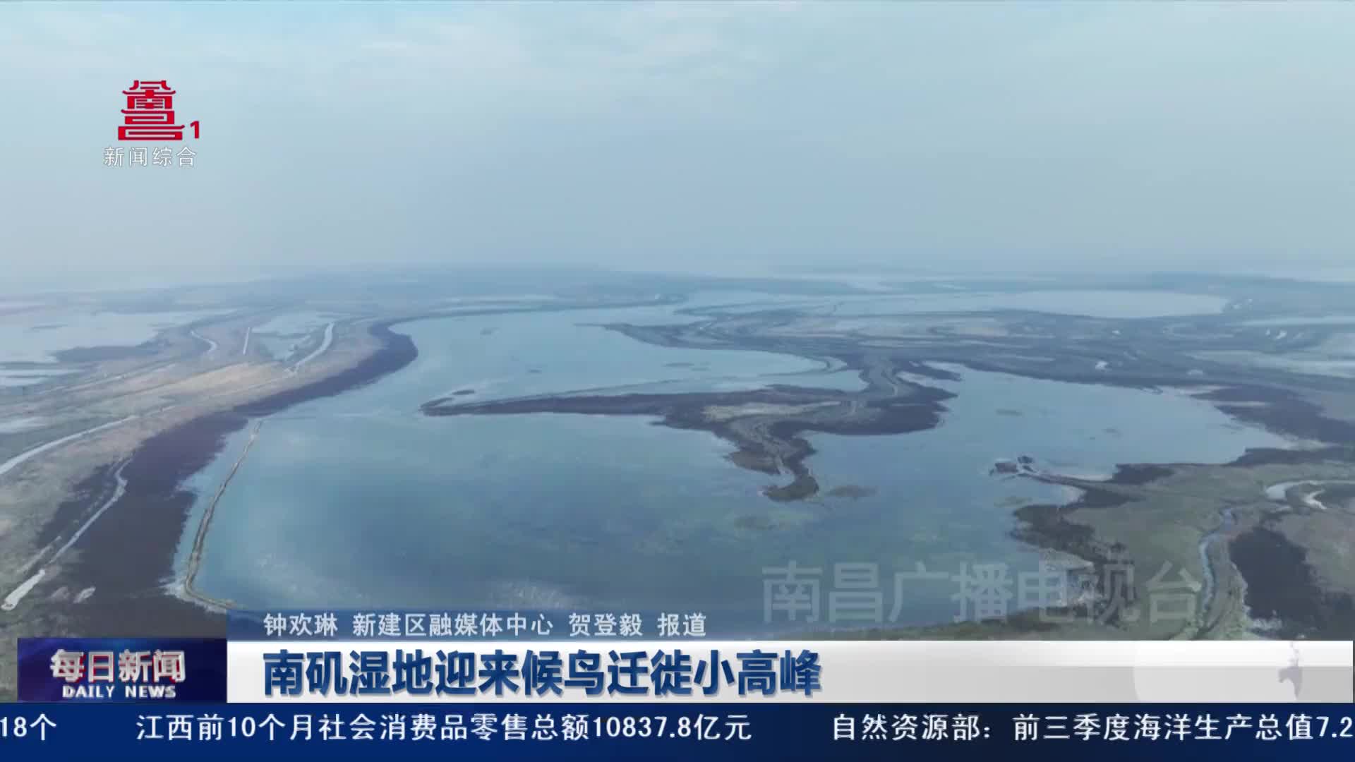 南矶湿地迎来候鸟迁徙小高峰