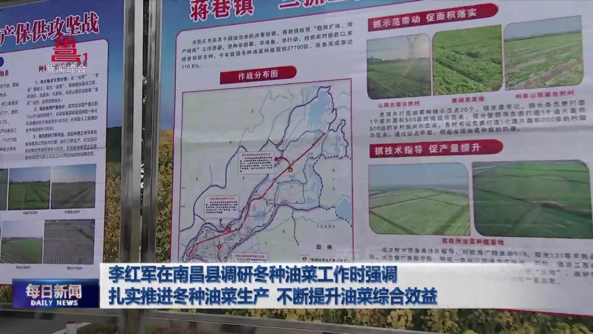 李红军在南昌县调研冬种油菜工作时强调 扎实推进冬种油菜生产  不断提升油菜综合效益