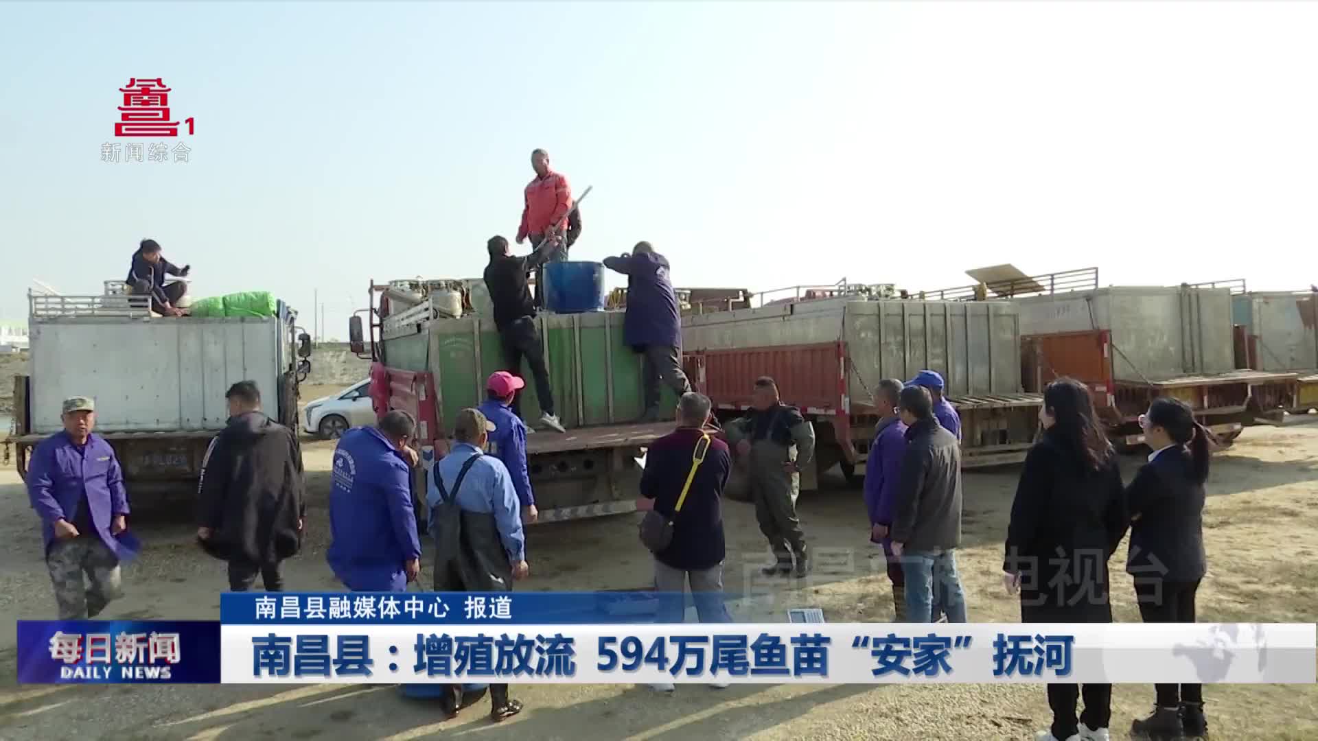 南昌县：增殖放流  594万尾鱼苗“安家”抚河