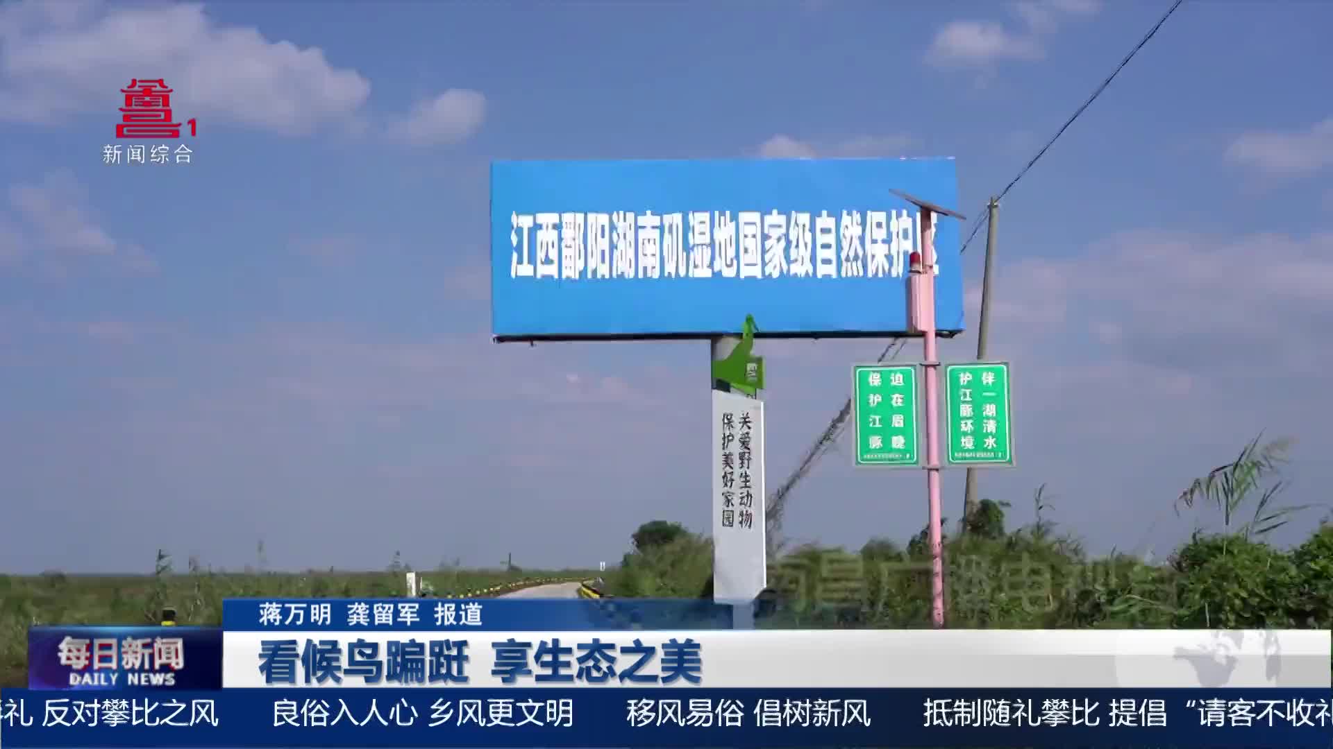 看候鸟蹁跹  享生态之美
