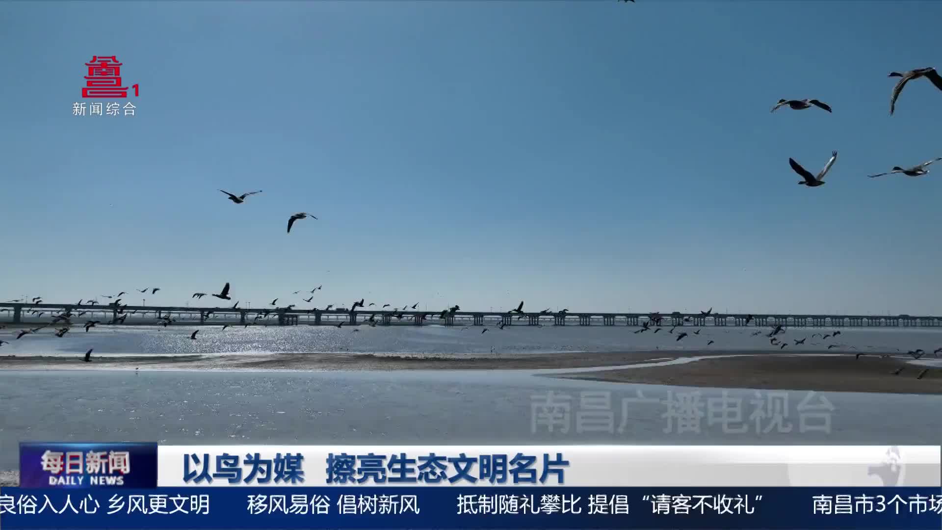以鸟为媒 擦亮生态文明名片